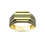 Altın Erkek Yüzük