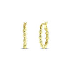 Dorika Toplu Altın Halka Küpe - 14K - 2.93gr