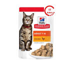 Hills Gravy Tavuklu Yetişkin Kedi Konservesi 85 Gr x 12 Adet