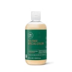 Special Color Renk Bakım Kremi 300 Ml