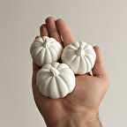 Mini Balkabağı Ham Obje