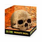 Exo Terra Sürüngen Dekoru Kafatası Yuva 