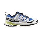 Salomon Xa Pro 3D V9 Erkek Koşu Ayakkabı L47747800 Renkli