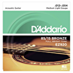 DADDARIO EZ920