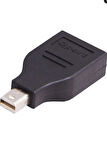 Mini DisplayPort Erkek to DisplayPort Dişi Dönüştürücü Çevirici