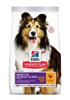 Hill's Adult Sensitive Skin Tavuklu 2.5 kg Yetişkin Köpek Maması