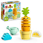 Duplo İlk Büyüyen Havucum 10981-18 Ay Ve Üzeri Küçük Çocuklar İçin Eğitici Oyuncak Yapım Seti