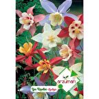 Arzuman Yer Küpelisi Çiçek Tohumu (30 Adet)-Haseki Küpesi