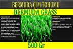 Bermuda Çimi (Ayrı Otu)Tohumu 500 gr
