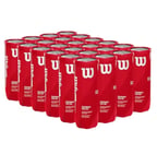 Wilson Performance 3'lü Koli 24 Kutu Padel Topu