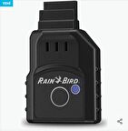Raın Bırd LNK2 WİFİ