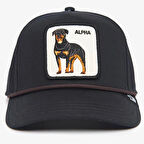 Goorin Boris Alpha Dog 100 Trucker Cap Unisex Şapka Siyah