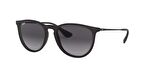 RAY-BAN RB 4171 622/8G 54 ERIKA CLASSIC  Unisex Yuvarlak Güneş Gözlüğü
