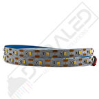 240 Ledli Sık Ledli 12V  Beyaz Şerit Led IP20 (5Metre)