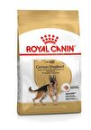 Royal Canin Alman Çobanköpeği Yetişkin Kuru Köpek Maması 11kg