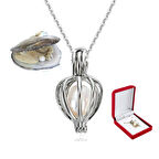 İstiridye İçi Gerçek İnci Kolye Kadife İstiridye Kutulu Gümüş