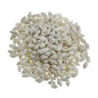 100gr. Nassa Shell Beyaz Doğal Deniz Kabuğu