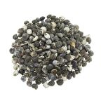 100gr. Umbinium Doğal Deniz Kabuğu