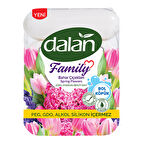Dalan Family Bahar Çiçekleri Güzellik Sabunu 4x75g