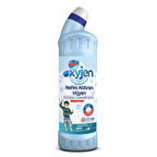 Bingo Oksijen Çamaşır Suyu Okaliptüs 750 Ml 2 ADET