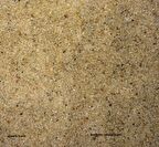 Akvaryum Quarz Kum 1-2 mm 5kg Quartz Kum Kuvars Kum