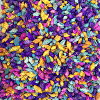 Nassa Shell-Karışık Renkli Kiloluk Deniz Kabuğu 250 Gr