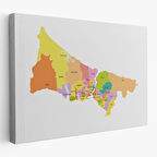 Harita Sepeti İstanbul İlçeler Haritası Dekoratif Kanvas Tablo 1017