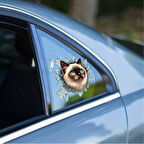 Kapamarka Fulcar Siamesse Araç Stickerı