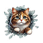 Kapamarka Fulcar Stray Araç Stickerı