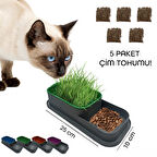 Periboia Topraksız Kedi Çimi Kabı