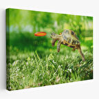 Harita Sepeti Uçan Kaplunbağa Dekoratif Kanvas Tablo 1122