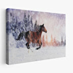 Harita Sepeti Karda Koşan At Dekoratif Kanvas Tablo 1133