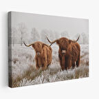 Harita Sepeti İskoçya Sığırları Dekoratif Kanvas Tablo 1150