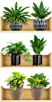3B Trend 3 adet Bitki Tasarım Duvar Sticker Bitki Saksı Desen Duvar Çıkartması Duvar Dekorasyonu
