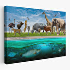 Harita Sepeti Hayvanlar Alemi Dekoratif Kanvas Tablo 1177