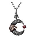 925 Ayar Gümüş Ay Yıldız Şahin Model Erkek Kolye Kırmızı Taşlı