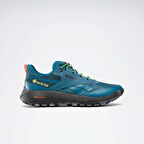 Reebok 4W DMX TRAIL GTX Erkek  Mavi Sneaker