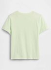 Gap Yeşil Erkek Çocuk Baskılı T-Shirt 870066004