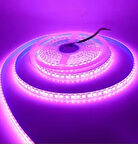 120 Ledli Pembe Işık Şerit Led 5 Metre 60 Watt Pembe 12 Volt