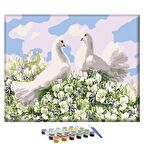 Sayılarla Boyama Seti - Beyaz Güvercinler