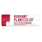 Hurraw Plantcolor No1 Dudak Renklendirici  4.8gr