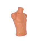 Bay-Kadın Tors Manken - Prova, Teşhir, Vitrin Mankeni Erkek