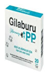 Gilaburu Kedi Köpek İdrar Yolları Koruyucu Urinary Uriner 20 Tablet