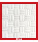 AYPOR TAVAN KAPLAMA HASIR ( 40 AD 10 MT )