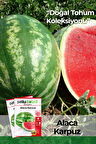 100 Adet Alaca Karpuz Tohumu