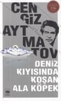 Deniz Kıyısında Koşan Ala Köpek