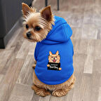 Mavi Wanted chihuahua ici polarli Köpek Kıyafeti Sweatshirt