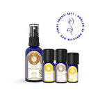 Temel Enerji Seti | Köklen ve Harekete Geç