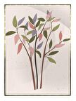 Shop365 Yapraklar Pastel Renkler Modern Tablo Çerçeveli P-001867