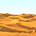 UGEPA SAHARA NIGHTS FRANSIZ DUVAR KAĞIDI SK10048 (BORDÜR) (5m2)